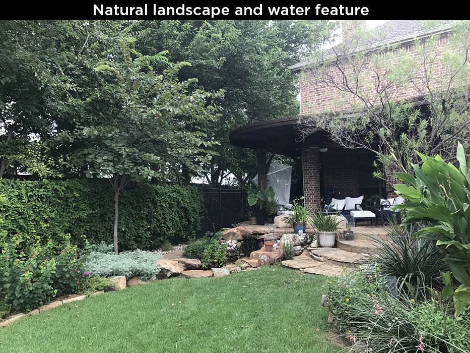 Natural Landscape And Water Feature