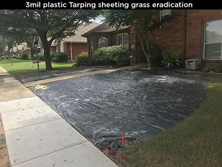 3mil Plastic Tarping Sheeting Grass Eradication