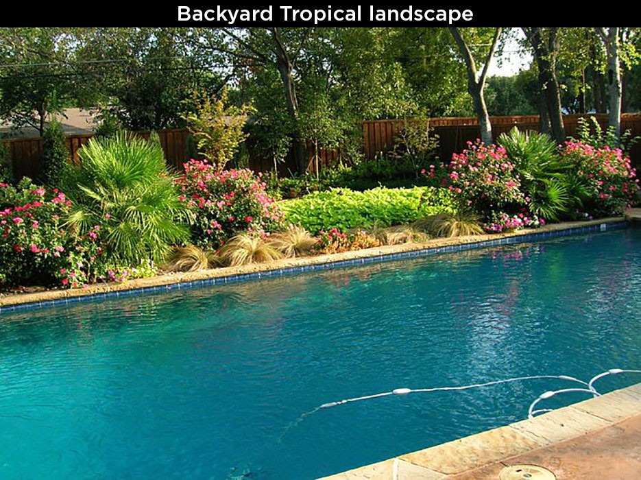 Backyard Tropical Landscape