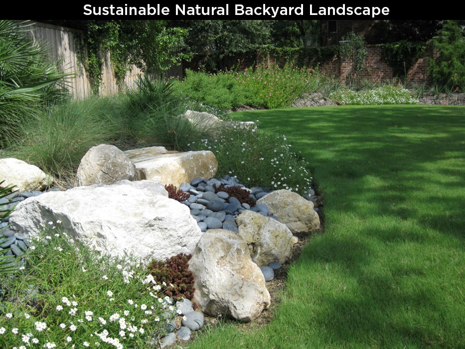 Sustainable Natural Backyard Landscape