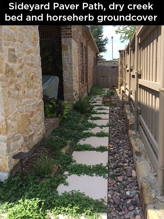 Sideyard Paver Path, Dry Creek Bed And Horseherb Groundcover