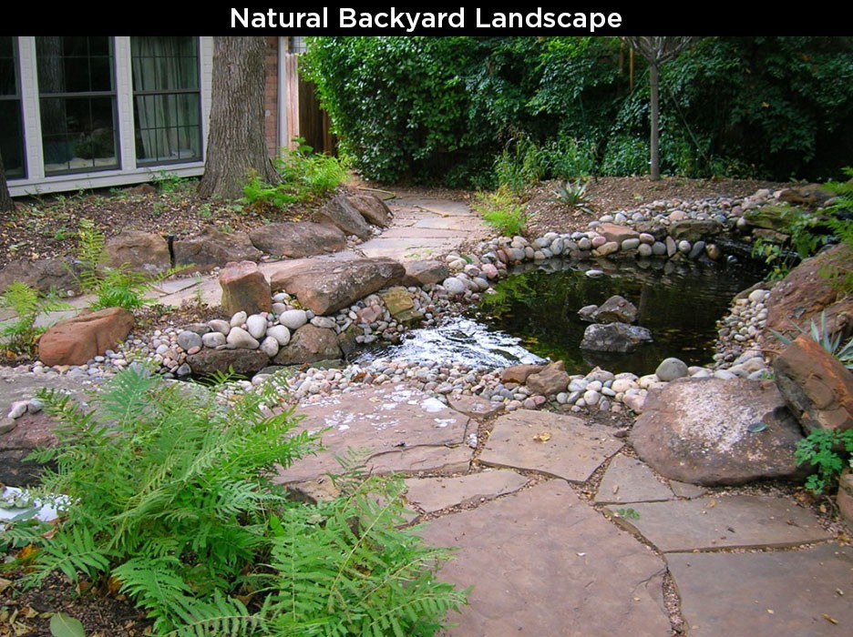 Natural Backyard Landscape