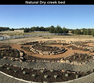 Natural Dry Creek Bed