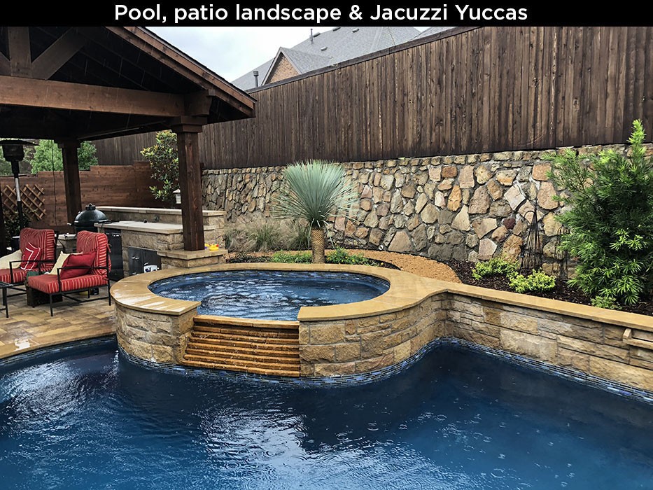 Pool, Patio Landscape & Jacuzzi Yuccas