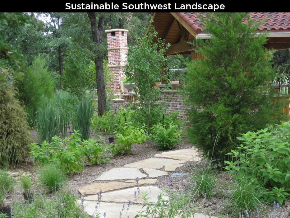 Sustainable Southwest Landscape