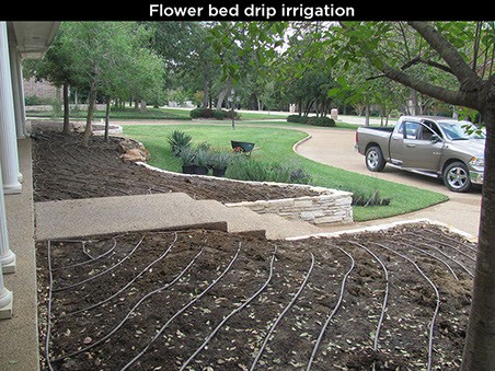 Flower Bed Drip Irrigation